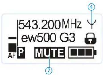 543.200MHz ew500 G3 AF P MUTE