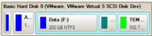 Basic Hard Disk 0 (VMware, VMware Virtual S SCSI Disk Dev) A... 1... Data (F:) 200 GB NTFS ... TEM... 100.7...