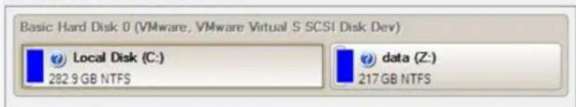 Basic Hard Disk 0 (VMware, VMware Virtual S SCSI Disk Dev) Local Disk (C:) 282.9 GB NTFS data (Z:) 217 GB NTFS