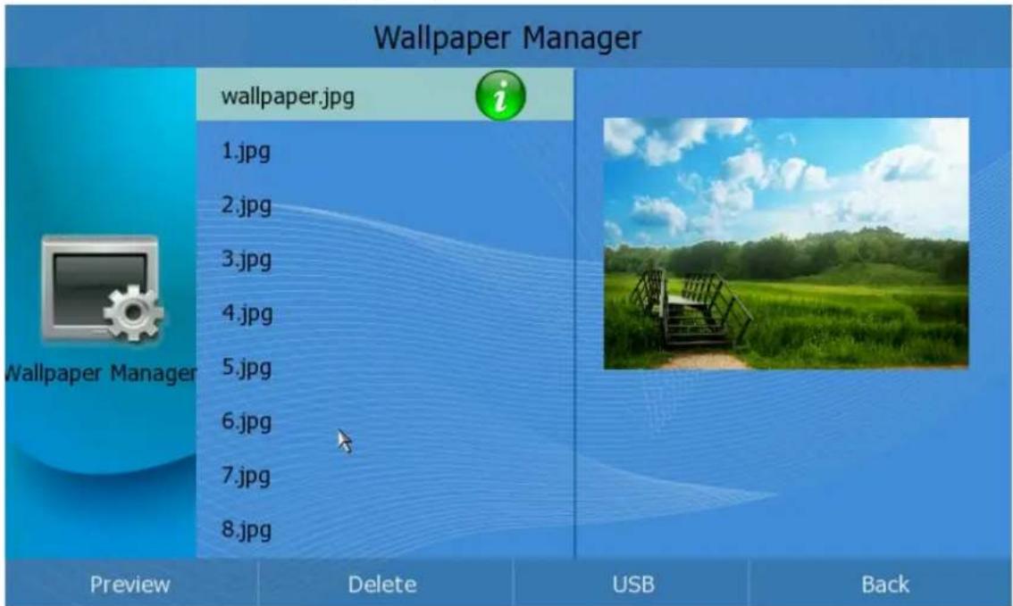 Wallpaper Manager wallpaper.jpg 1.jpg 2.jpg 3.jpg 4.jpg 5.jpg 6.jpg 7.jpg 8.jpg Preview Delete USB Back