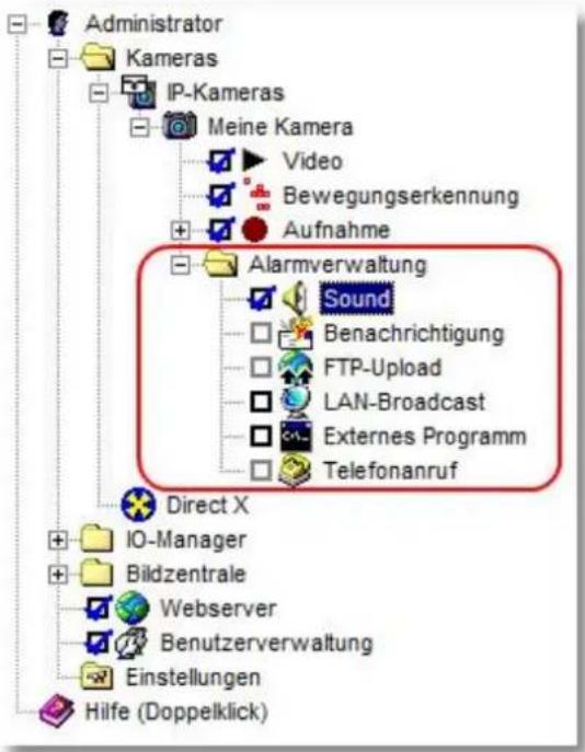 IC Intracom 505451 - Alle Arten der Alarmierung müssen zuerst aktiviert werden. Ein Mausklick auf das Optionsfeld der entsprechenden Option schaltet die entsprechende Funktion ein. - 1