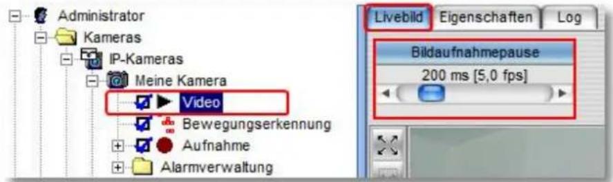 IC Intracom 505451 - Hinweis bei IP-Kameras: - 3