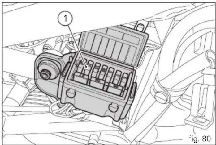 1 fig. 80