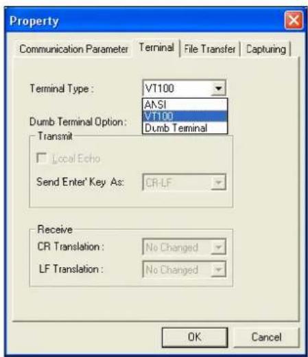 Property Communication Parameter Terminal File Transfer Capturing Terminal Type: VT100 ANSI Dumb Terminal Option: VT100 Dumb Terminal Transmit Local Echo Send Enter' Key As: CR-LF Receive CR Translation: No Changed LF Translation: No Changed OK Cancel