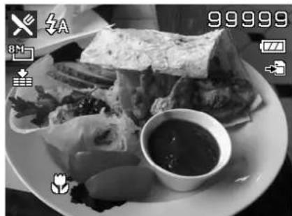 AGFAPHOTO Optima 103 - Using Food Mode - 1