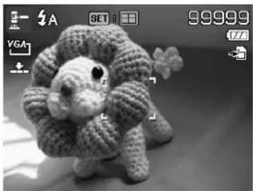 AGFAPHOTO Optima 105 - Using Auction Mode - 2
