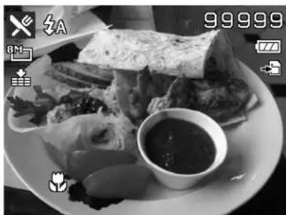 AGFAPHOTO Optima 105 - Using Food Mode - 1