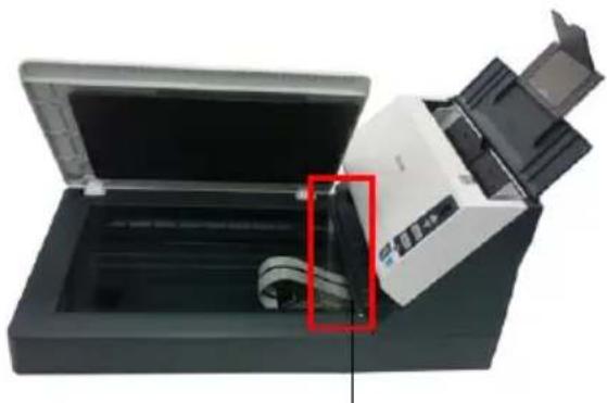 AVISION AV1860 - Entfernen Sie die Transporthalterung - 2