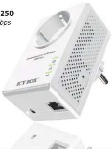 Raidsonic IB-PL250D - ALLGEMEINE HINWEISE - 2