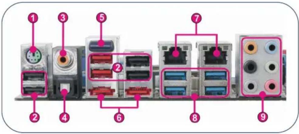 Diagram of a multi-chamber electronic device with numbered connectors and labeled ports