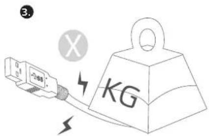 3 KG