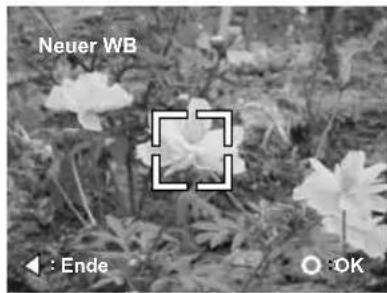 AGFAPHOTO DV-5580Z - Manuelle Einstellung des Weißabgleiches - 2