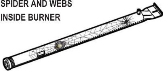 SPIDER AND WEBS INSIDE BURNER