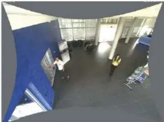 Mobotix MX-D25M-SEC-D51 - Correcting Lens Distortion (L25 Only) - 2