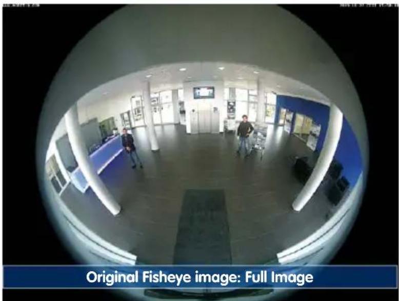 Original Fisheye image: Full Image
