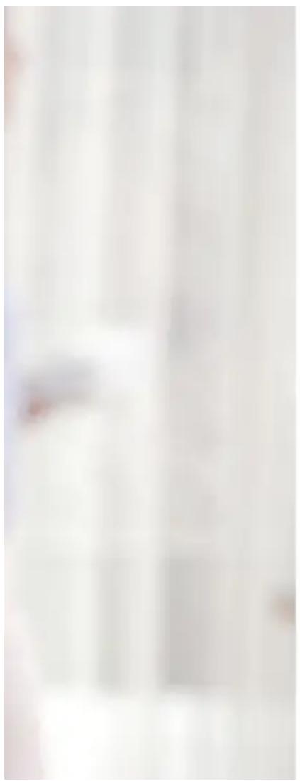 Brandani 57631 - 1