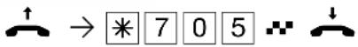 AGFEO AS 43 IP-DECT - Direktrufnummer eingeben - 1