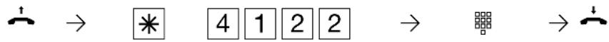 AGFEO AS 43 IP-DECT - Fremdwahl aktivieren - 2