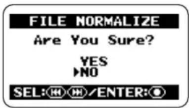 FILE NORMALIZE Are You Sure? YES NO SEL:OK/ENTER:O