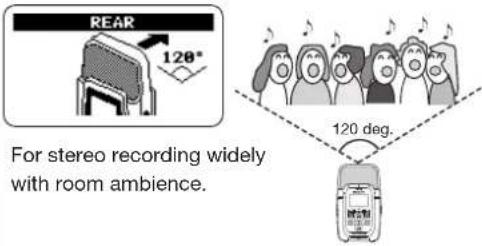 REAR 120° For stereo recording widely with room ambience. 120 deg.