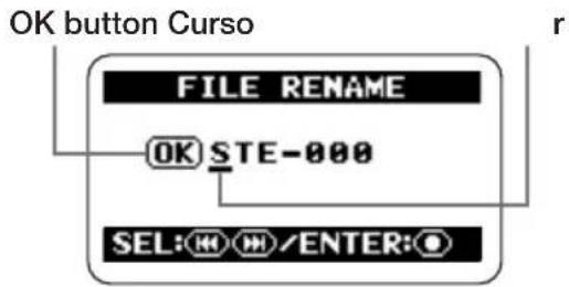 OK button Curso FILE RENAME OK STE-000 SEL: (M) (H) /ENTER: (O) r