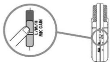 LYM/H MIC GAIN