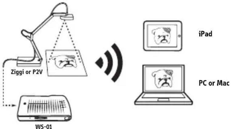 Ipevo WS-01 - The WS-01 Wireless Station for USB Document Cam lets your IPEVO document camera – the Point 2 View, Ziggi or Ziggi HD – communicate wirelessly so you can do even more: - 1