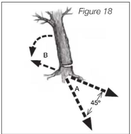 Figure 18 B A 45°