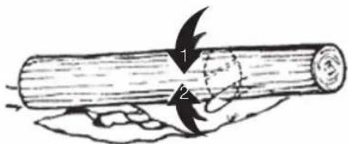 1 2