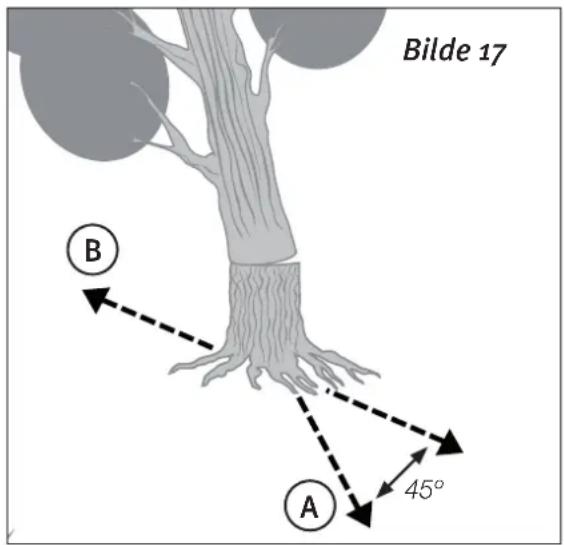 Cotech YT4755 - Trefelling - 1