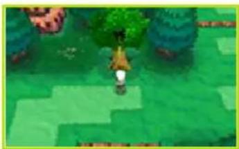 NINTENDO Pokémon Alpha Saphir (3DS) - Was sind Super-Geheimbasen? - 1
