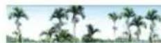 Areca ARC-8050T2 - Check Volume Set - 1