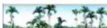 Areca ARC-8050T2 - System Information - 1
