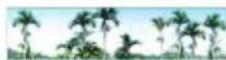 Areca ARC-8050T2 - SAS Chip Information - 1