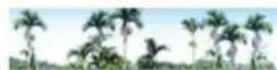 Areca ARC-8050T2 - Delete Raid Set - 1