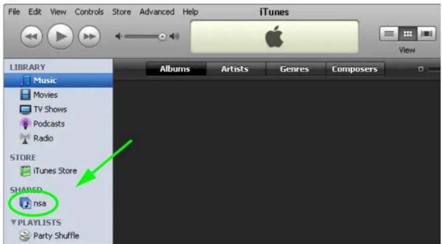 File Edit View Controls Store Advanced Help iTunes View LIBRARY Music Movies TV Shows Podcasts Radio STORE iTunes Store SHARED nsa PLAYLISTS Party Shuffle Albums Artists Genres Composers