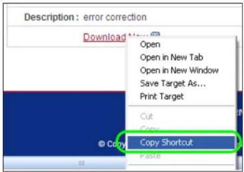 Description: error correction Download Open Open in New Tab Open in New Window Save Target As... Print Target Cut Copy Copy Shortcut Paste