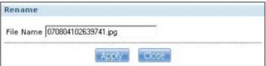 ZYXEL NSA320S-4T - The Share Browser Screen - 3