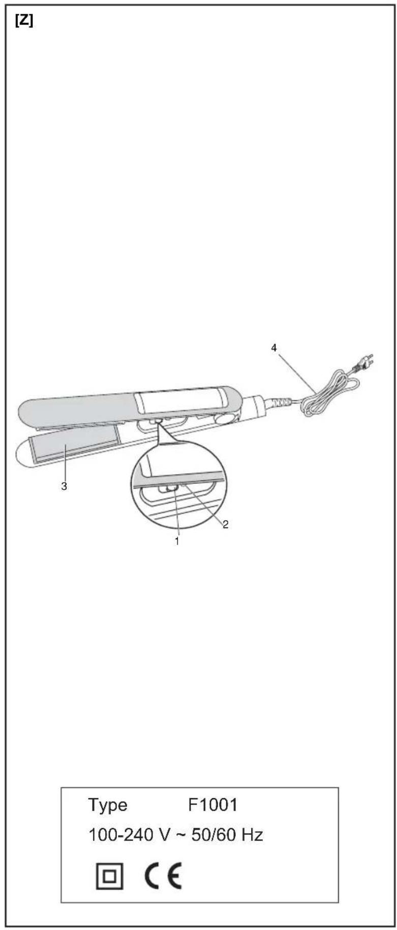 [Z] Type F1001 100-240 V ~ 50/60 Hz 回 CE