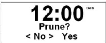 12:00 DAB Prune? < No > Yes