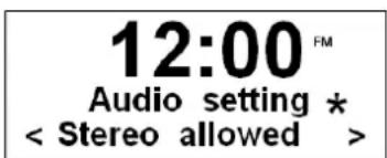 12:00 Audio setting * < Stereo allowed >