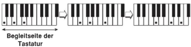 CASIO LK-46 - HINWEIS - 1
