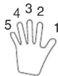 CASIO LK-46 - Tabelle der gegriffenen Akkorde - 2