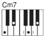 CASIO LK-46 - Verwendung des normalen Greifens - 7