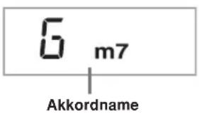 CASIO LK-46 - Spielen einer CASIO CHORD-Begleitautomatik - 1