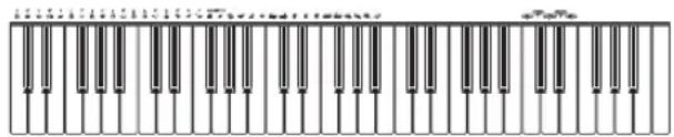 CASIO LK-46 - Split-Klangfarben des Keyboards - 2