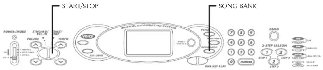 CASIO LK-46 - 3-Stufen-Lernfunktion - 1
