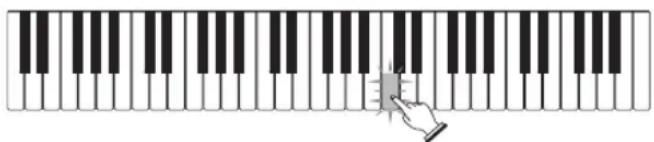 CASIO LK-46 - Spielen Sie die von der 3-Stufen-Lernfunktion angezeigten Noten. - 1