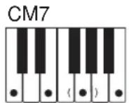 CASIO LK-46 - Verwendung des normalen Greifens - 8