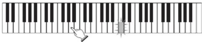 CASIO LK-46 - Versuchen Sie eine beliebige der Keyboardtasten an Stelle der ONE KEY PLAY-Tasten zu drücken. - 1